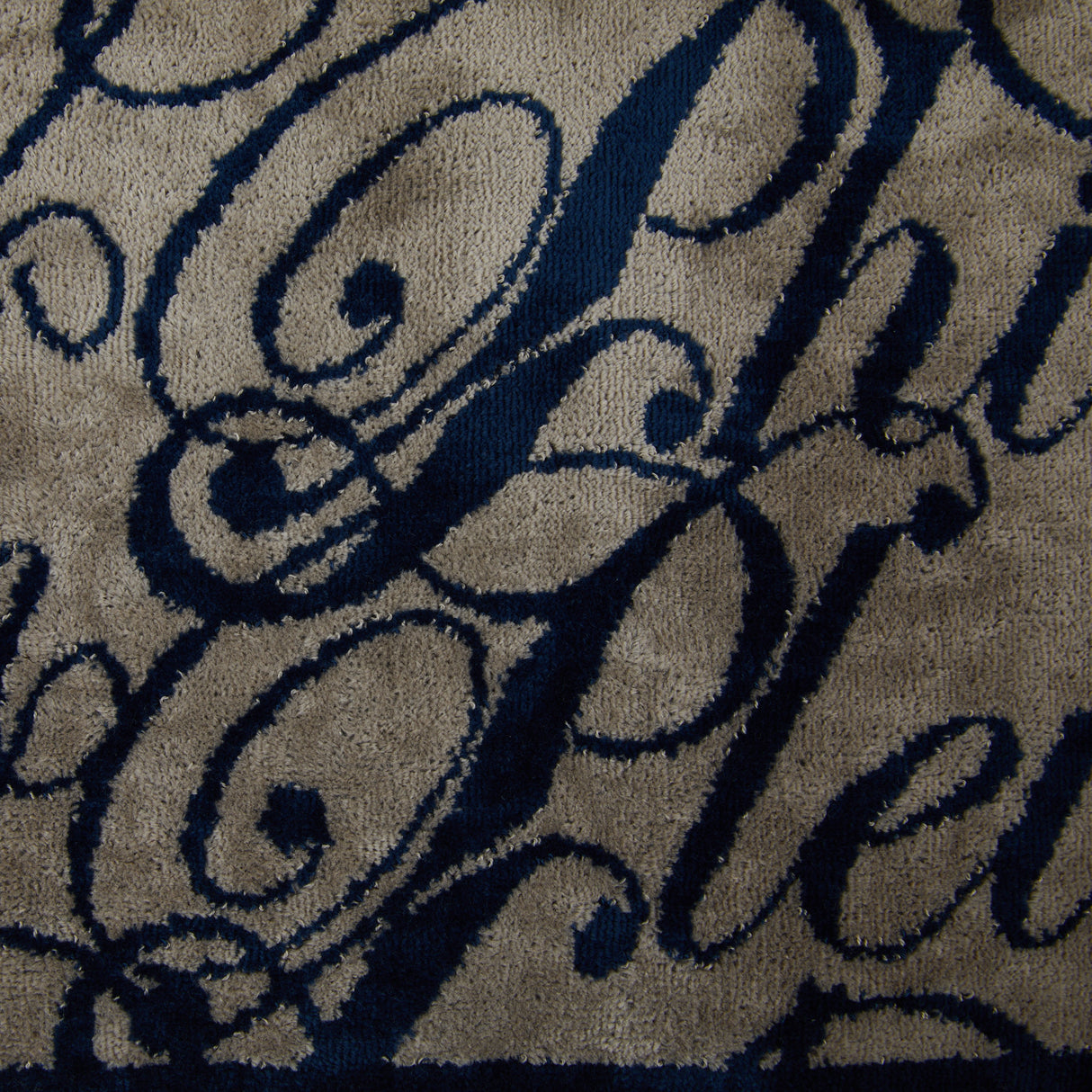 Philipp Plein Asciugamano con Ospite Script Moderno in Spugna