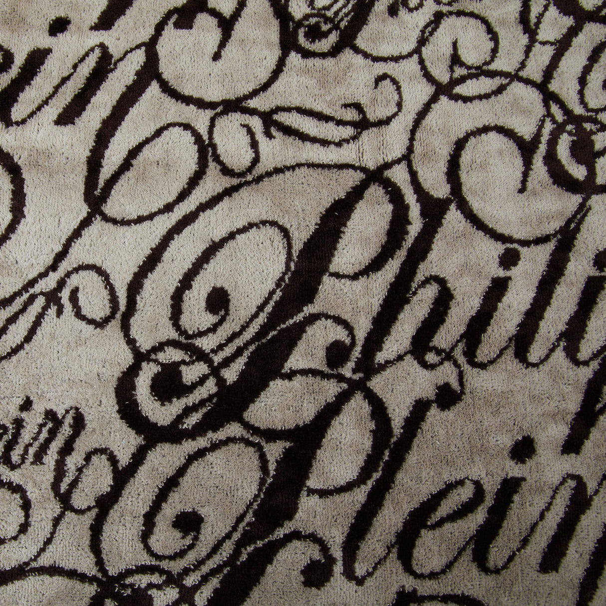 Philipp Plein Asciugamano con Ospite Script Moderno in Spugna