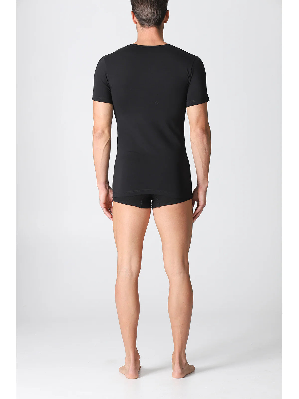 Alpina Maglietta da Uomo in caldo cotone Scollo a V ANM999 2510S24