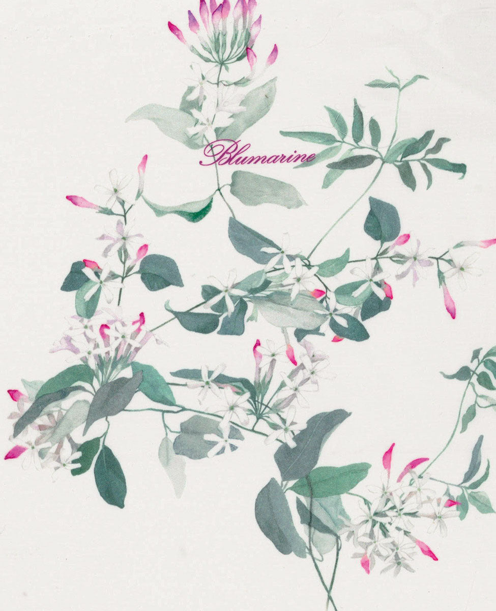 Blumarine Completo Lenzuola Matrimoniale Gelsomino 101060967 2511S225