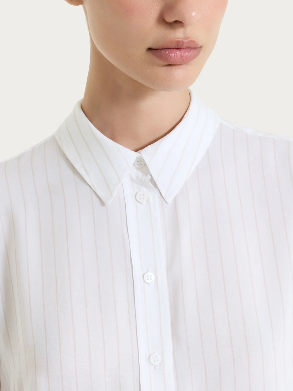 Ragno Camicia a righe in EcoSeta DS57SC S45