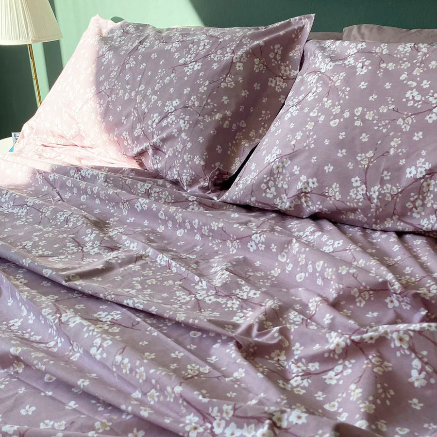 Maestri Cotonieri Lenzuola 4 Federe Sabana Matrimoniale 2506S65