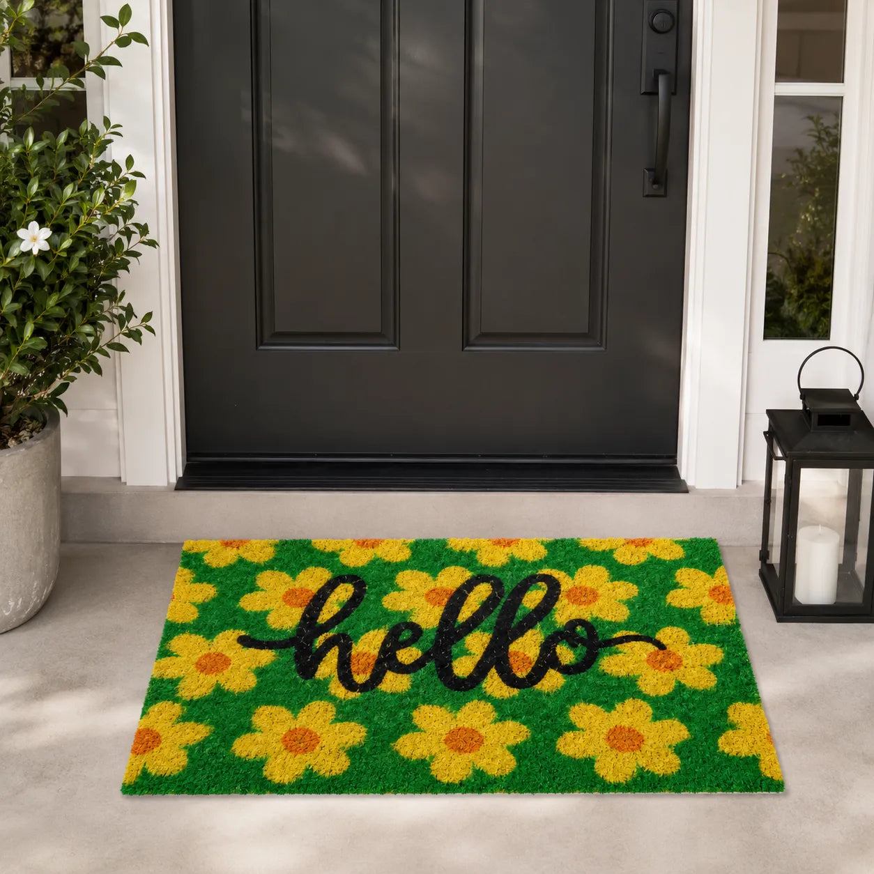 Montemaggi Zerbino Cocco “Hello” 70x40 Fantasie Assortite