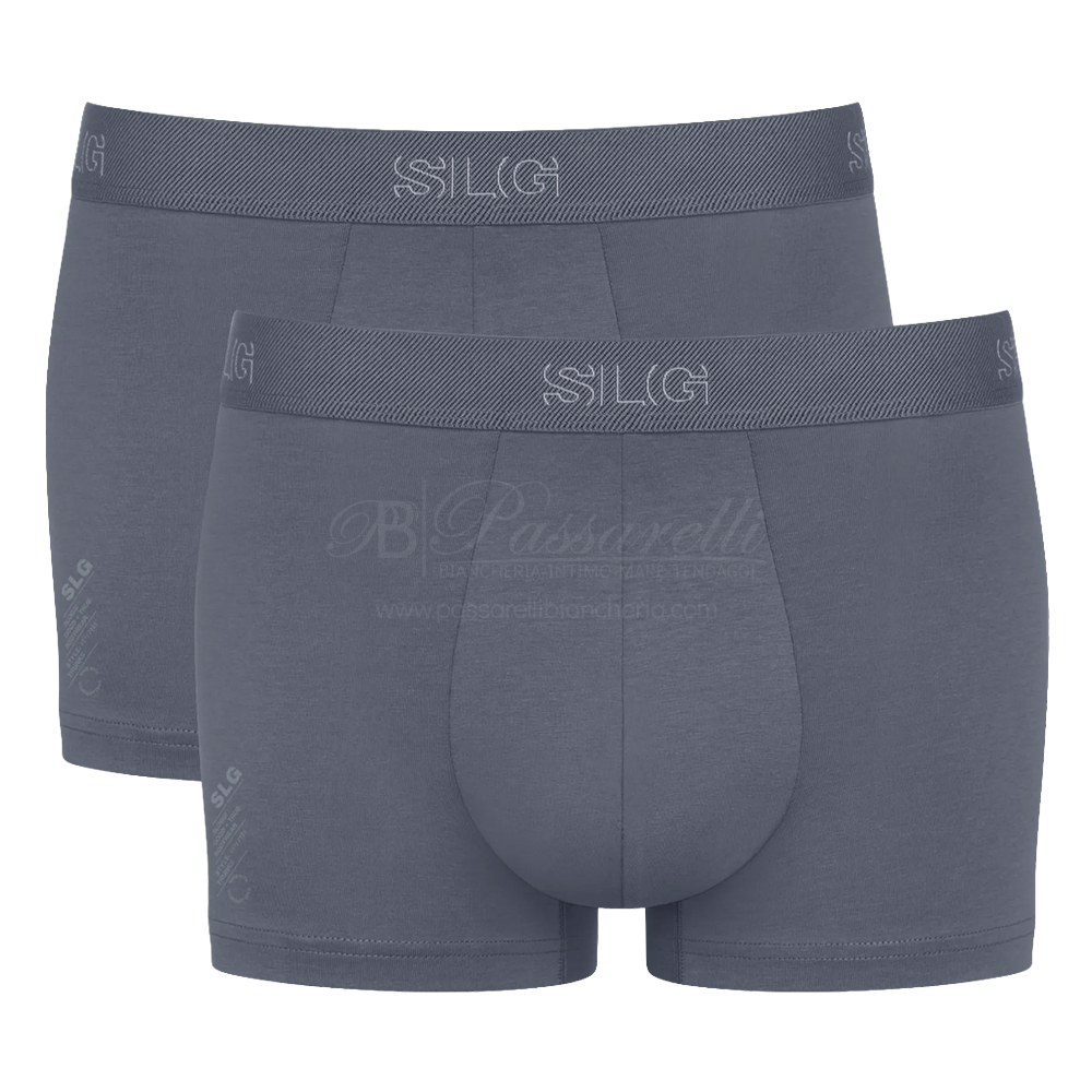 Sloggi Uomo 2 Boxer SLG Base Trunk 10224735 2507S21