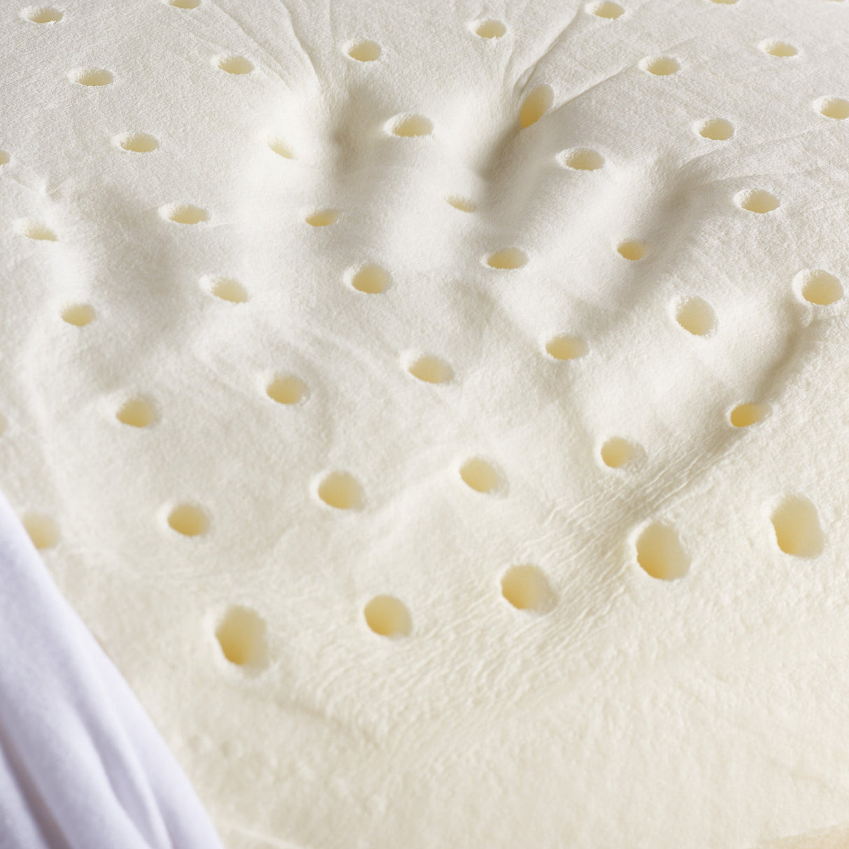 Via Roma 60 Dormirè Guanciale Memory Standard H17 cm NA3859 S34