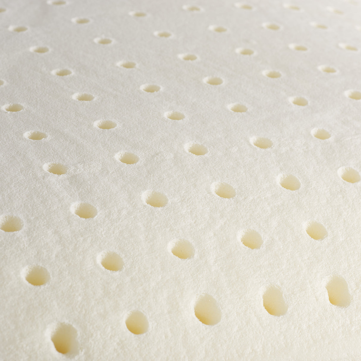 Via Roma 60 Dormirè Guanciale Memory Standard H15 cm NA3858 S32