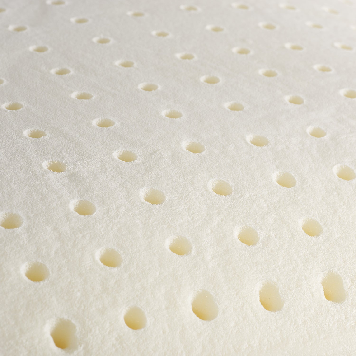 Via Roma 60 Dormirè Guanciale Memory Standard H15 cm NA3858 S32