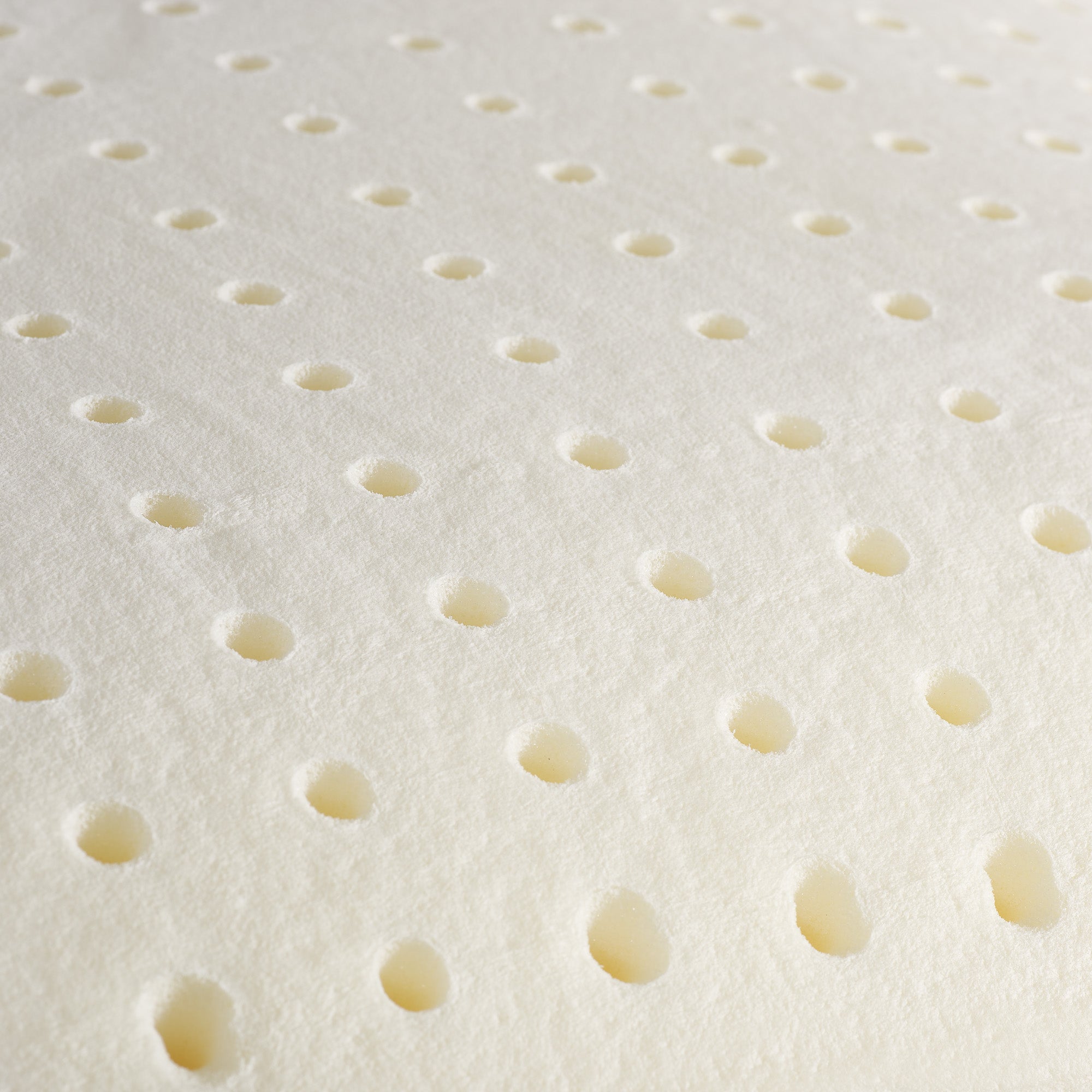 Via Roma 60 Dormirè Guanciale Memory Standard H15 cm NA3858 S32