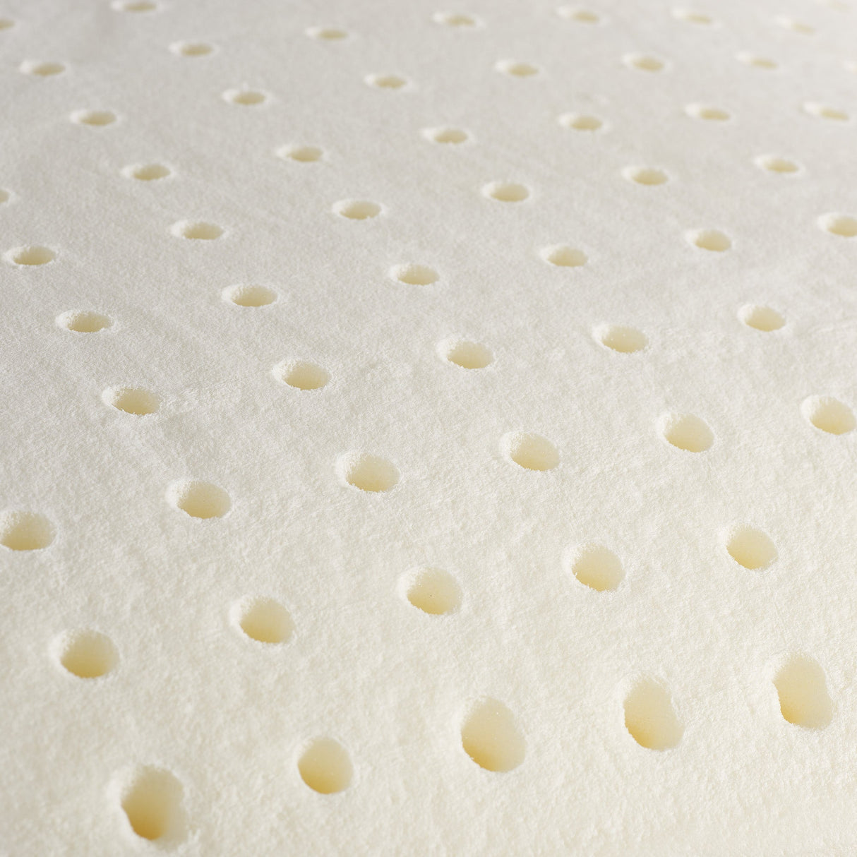 Via Roma 60 Dormirè Guanciale Memory Standard H17 cm NA3859 S34