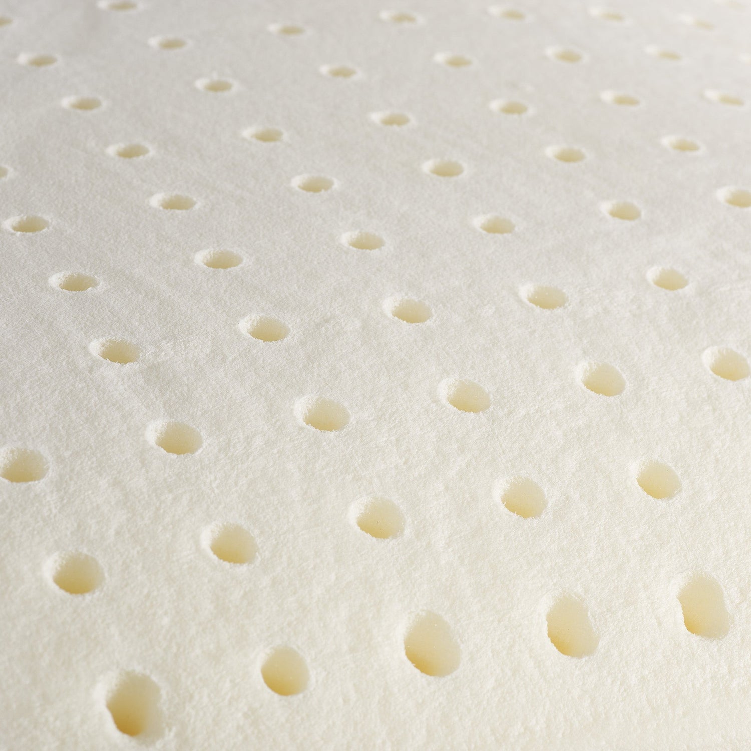 Via Roma 60 Dormirè Guanciale Memory Standard H17 cm NA3859 S34