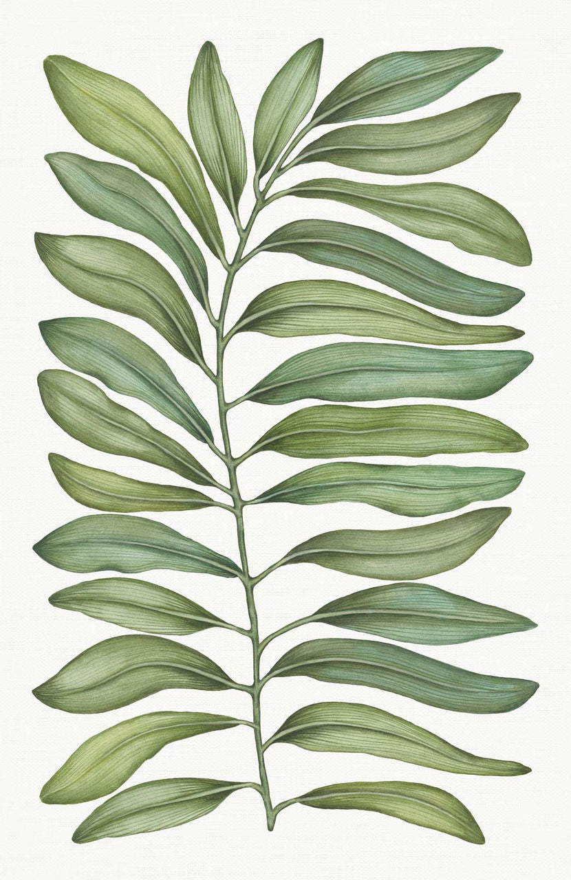 Tessitura Toscana Telerie Tovaglia da Tavola in Puro lino Tamarindo