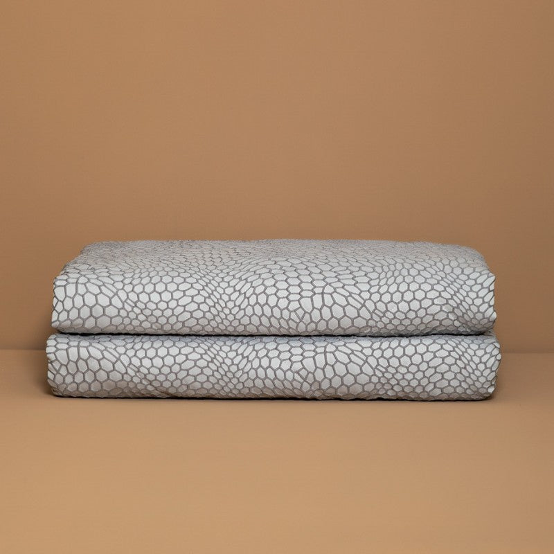 Battaglia Trapuntino BAO