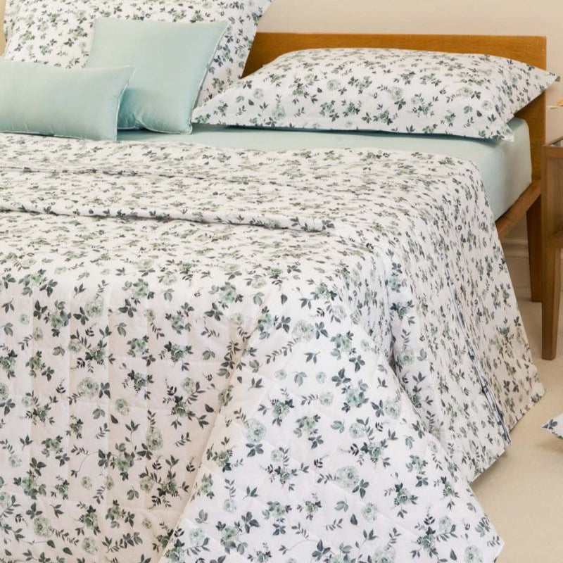 Battaglia Trapuntino FILLY