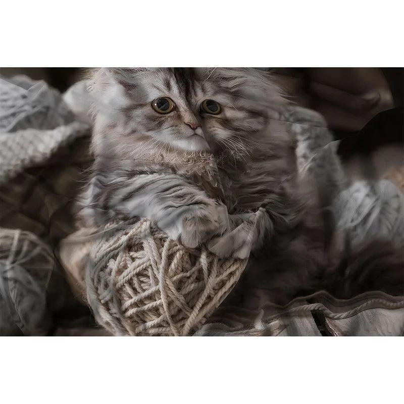 Parure Copripiumino Matrimoniale GoodNight Gatto Felix B30 - Passarelli Biancheria