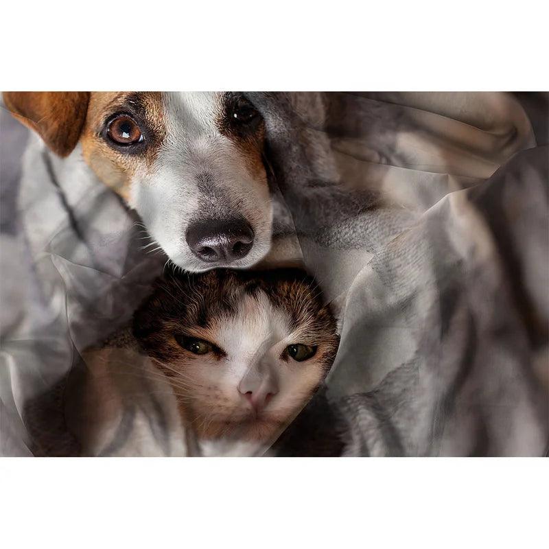 Parure Copripiumino Singolo 1 Posto GoodNight Peggy B22 - Passarelli Biancheria