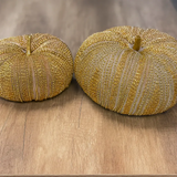 Blanc Mariclò Zucca Decorativa Perline 2510S - Varie Dimensioni, cuscino a forma di zucca con perline oro.