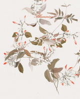 Blumarine Completo Lenzuola Matrimoniale Gelsomino 101060967 2511S225