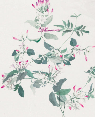 Blumarine Completo Lenzuola Matrimoniale Gelsomino 101060967 2511S225