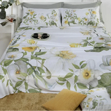 Trapuntino CALLA - Randi