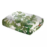 Trapuntino EDERA - Randi