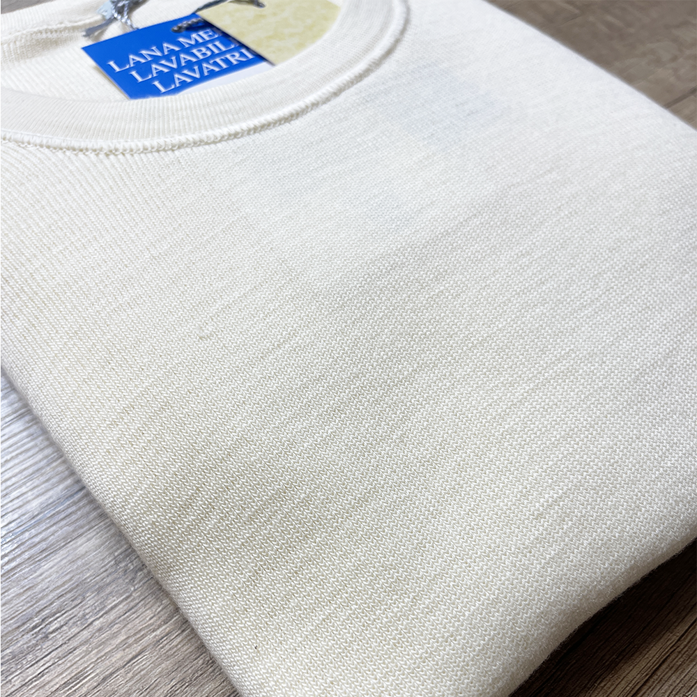 Ragno Maglia Intima Uomo Girocollo Maniche Lunghe Pura Lana Doppia 018009 S90