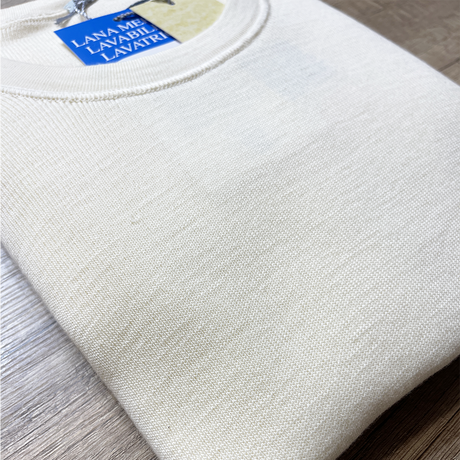 Ragno Maglia Intima Uomo Girocollo Maniche Lunghe Pura Lana Doppia 018009 S90