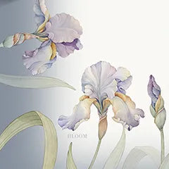 Randi Tovaglia e Runner LILY - Varie Dimensioni