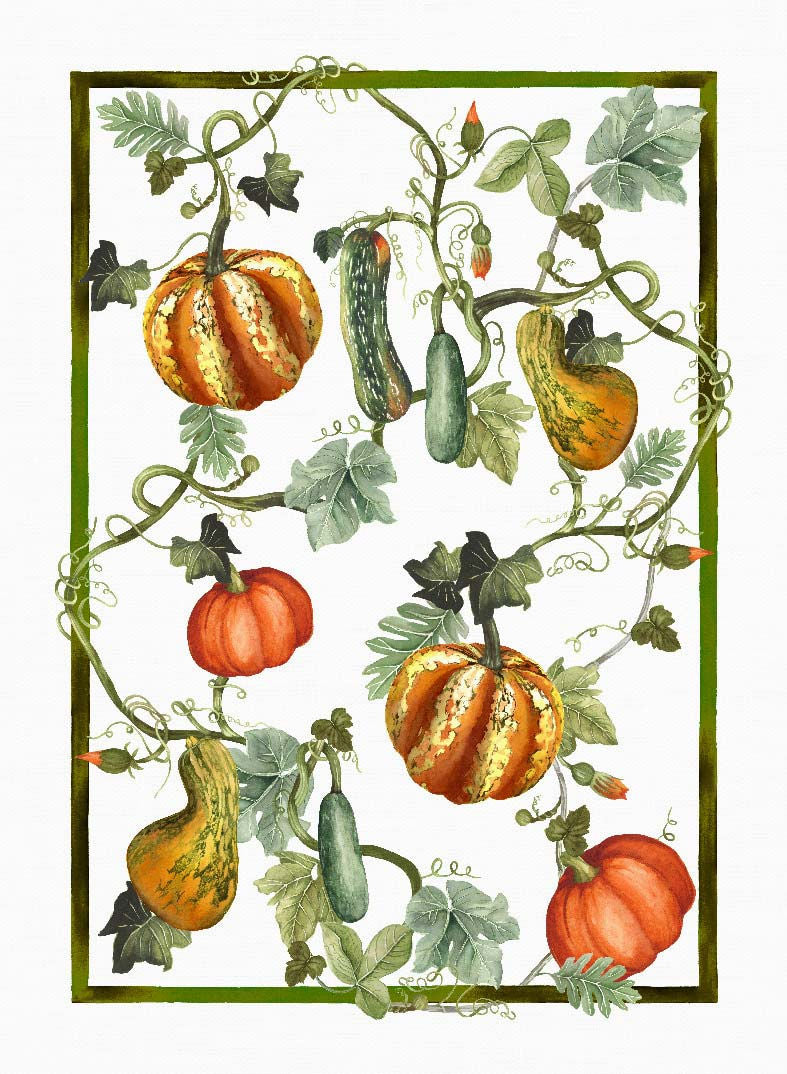 Tessitura Toscana Telerie Tovaglia e Runner in P.Cotone Kurbis - Varie Dimensioni