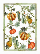 Tessitura Toscana Telerie Tovaglia e Runner in P.Cotone Kurbis - Varie Dimensioni