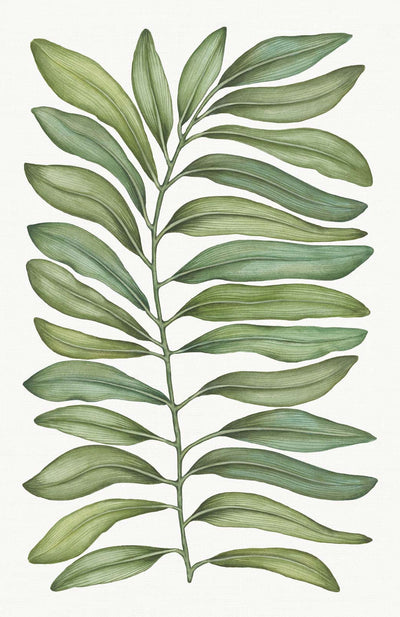 Tessitura Toscana Telerie Tovaglia da Tavola in Puro lino Tamarindo