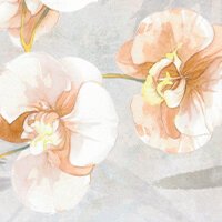 Blumarine Lenzuola Matrimoniale Orchidea