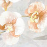 Blumarine Lenzuola Matrimoniale Orchidea