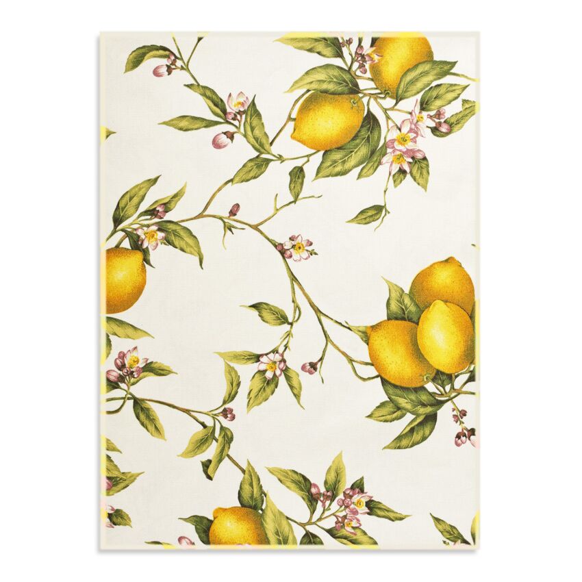 Set 6 Strofinacci LIMONI SORRENTO By Maestri Cotonieri