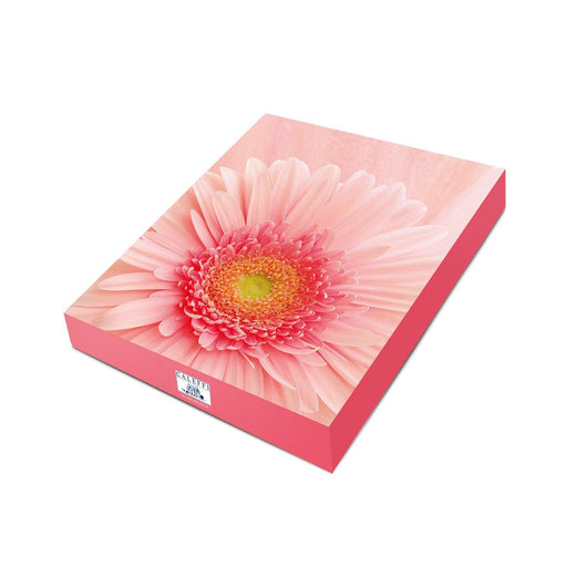 Caleffi Completo Copripiumino Matrimoniale Pink Rosa D87 - Passarelli Biancheria