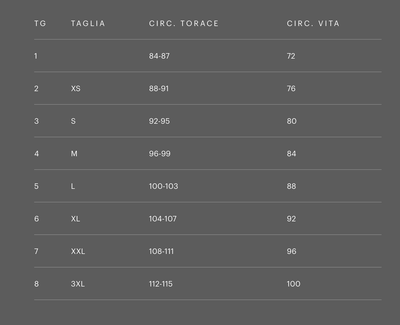 Ragno Maglia Intima Uomo Girocollo Maniche Lunghe Pura Lana Peso Medio 060039 S50 - Passarelli Biancheria