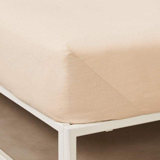 Bassetti Lenzuolo Sotto con Angoli in Puro Cotone Pop Color - Varie Dimensioni - Passarelli Biancheria